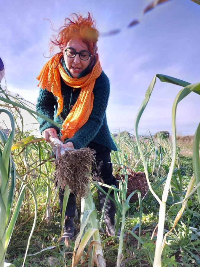 Turismo Rural La Ojinegra Alloza Esterno foto
